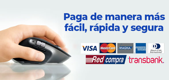 paga-seguro paga-seguro